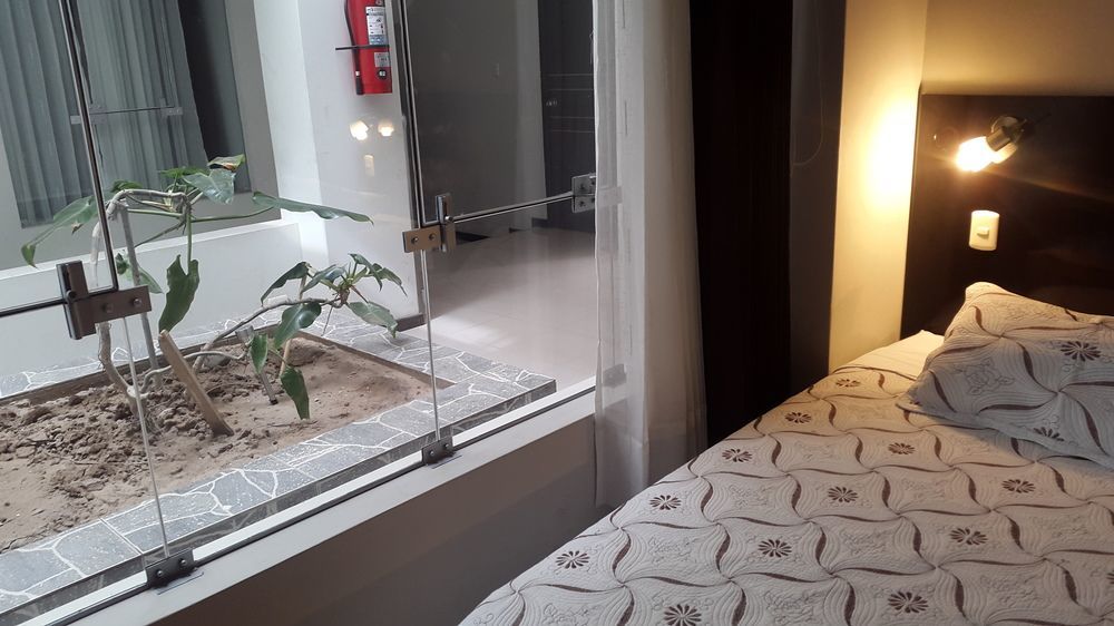 La Lisera Suite Residencial Tacna Exteriör bild